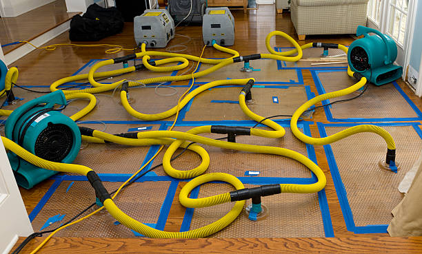 Professional Water Damage Repair technician working in Stanwood, MI